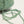 Sage melange green