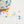 Pom Pom -Circus-