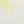 Moke Moke -Lemon-