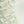 【vel_original】Flower Mint