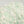 【vel_original】Flower Mint