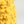 Flower yarn -Mimosa-
