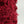 Flower yarn -Rose-