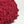 Flower yarn -Rose-