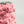 Flower yarn - Peoney-