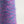 Cyan ×pink