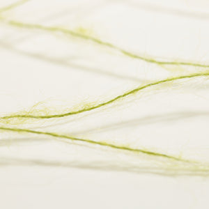 Macha Latte