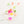 Pom Pom -Neon-