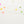 Pom Pom -Neon-