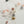 Pom Pom -Botanical-