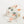 Pom Pom -Botanical-