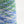 Tulle tape yarn -Cream soda-