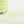 Tulle tape yarn -Lemon soda-