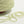 Cream matcha