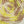 Tape yarn -ひまわり sunflower-
