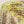 Tape yarn -ひまわり sunflower-
