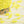 Butter fly yarn -向日葵 Sunflower-