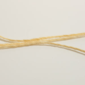 Cotton Lily  -Soft Mustard-