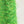 Glitter Moke -Green-