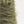 Soft Feather -Forest green-
