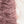 Soft Feather -Purple-