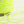 Covering yarn-ネオンイエローNeon yellow-