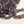 【vel_original】Cocoa Bloom