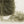 Soft Feather -Forest green-