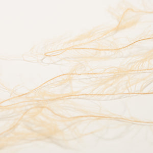 Soft Feather -Cafe au lait-