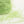 Soft Feather -Fresh green-