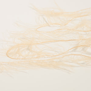 Soft Feather -Latte-
