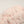 Flower yarn -Sakura-