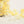 Flower yarn -Daffodil-