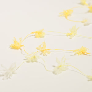 Flower yarn -Daffodil-