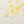 Flower yarn -Daffodil-