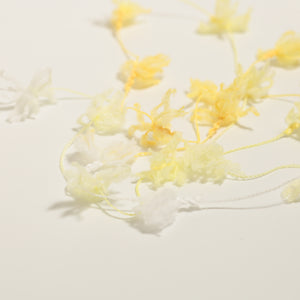 Flower yarn -Daffodil-