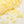 Flower yarn -Daffodil-