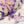 Flower yarn -Wisteria-