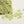 Flower yarn -Clover-