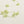 Flower yarn -Clover-