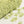 Flower yarn -Clover-