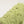 Flower yarn -Clover-