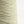 Cotton mix Boucle-Summer Green-
