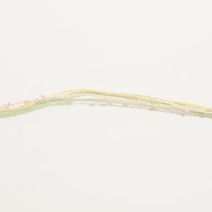 Cotton mix Mini Boucle-Green yellow-